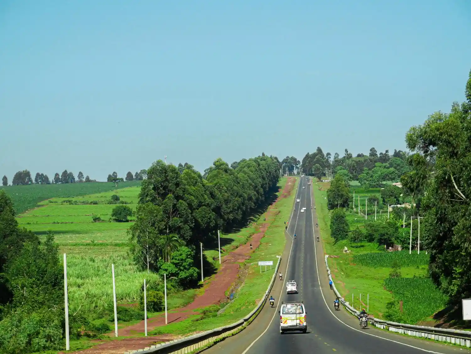 Fresh, Healthy and Tasty