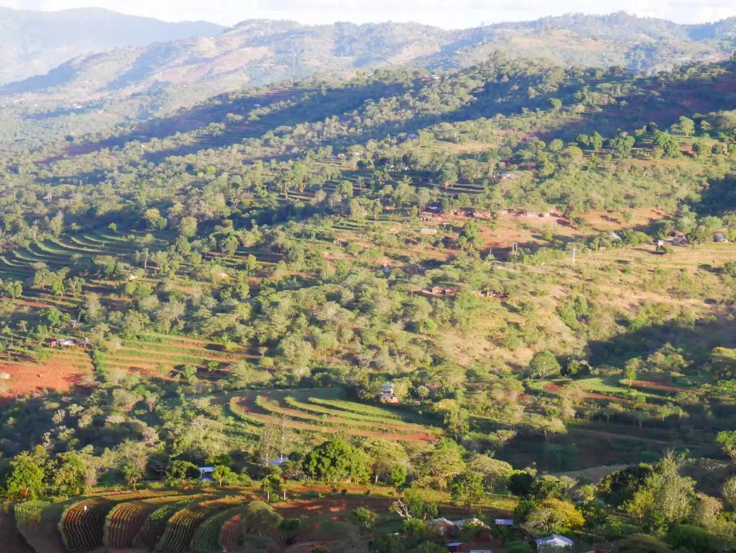 Nature-based solutions (NbS) are actions to protect, sustainably manage, and restore natural and modified ecosystems